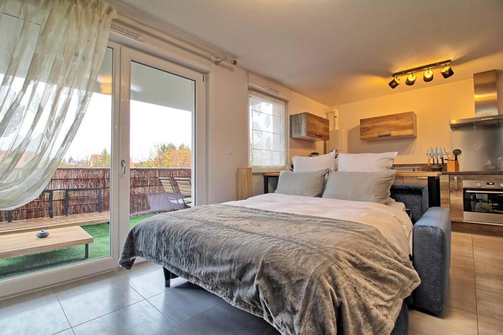 Appartement - Note Boisee - Terrasse & Parking Sélestat Zewnętrze zdjęcie