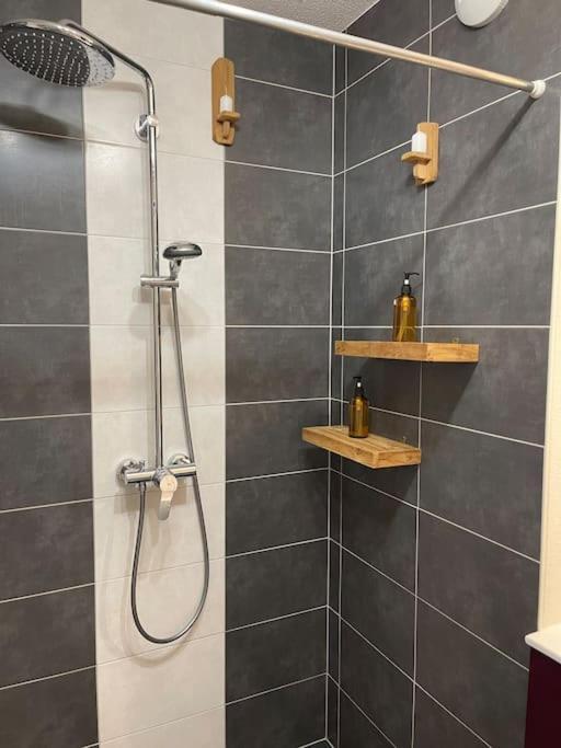 Appartement - Note Boisee - Terrasse & Parking Sélestat Zewnętrze zdjęcie